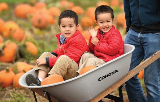two boys in a wheelbarrow with pumpkins