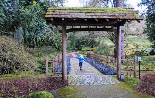 A young girl in a blue jacket has her arms outstretched as she walks a path at Bloedel Reserve a nature preserve on Bainbridge Island near Seattle