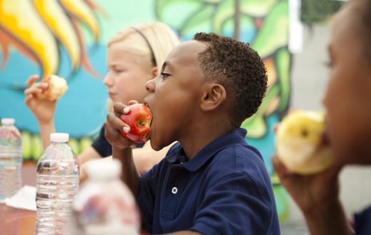 Boy blue shirt eating apple part of school lunch how to get more superfoods in kids' school lunches brain power focus stamina