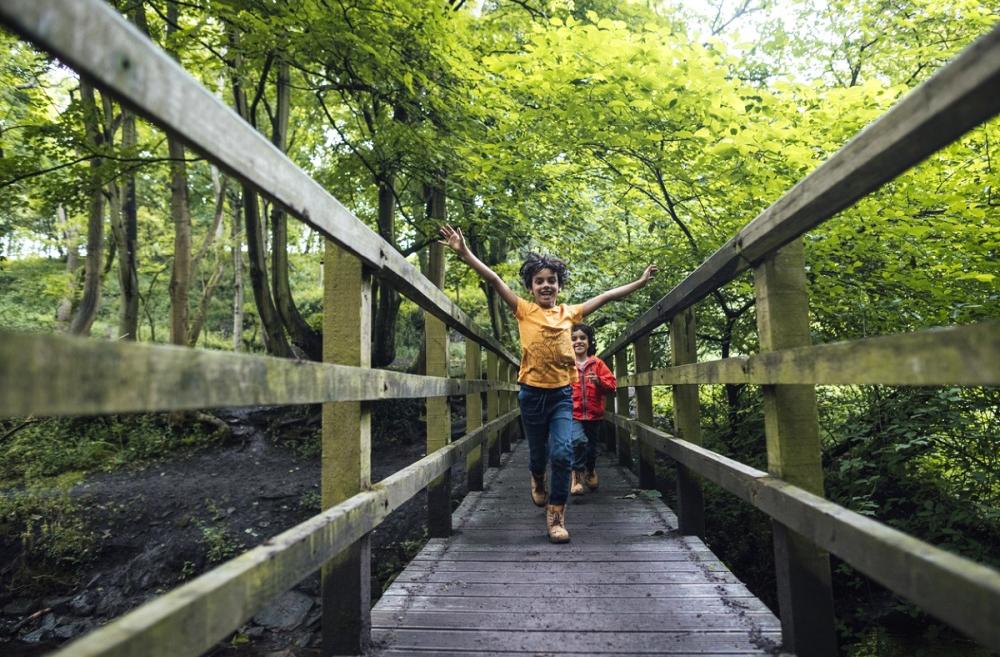 Two boys brothers run across a wooden bridge in the woods on a spring hike near Seattle best spring hikes for kids families around Seattle Puget Sound