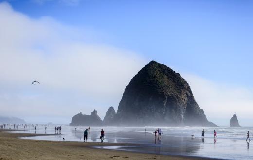 In Cannon Beach, Oregon, looking across the wide beach to iconic Haystack Rock. People and dogs run and walk on the beach and along the edge of the ocean with their toes in the water