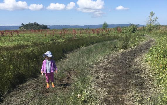 Craft Island kid-friendly skagit county washington hikes for families