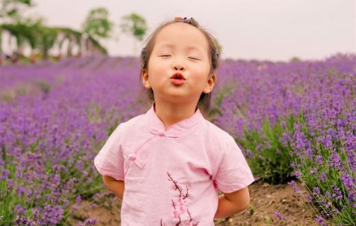 A cute young Asian girl about age 4 wearing a pink shirt poses in front of fields of purple lavender at one of the best lavender farms around Seattle to visit with kids