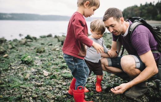 Dad and two little kids looking at rocky beach and tide pool finds