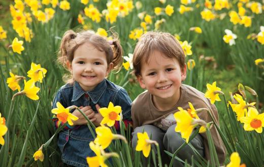 Two young children sitting in a daffodil filed and smiling