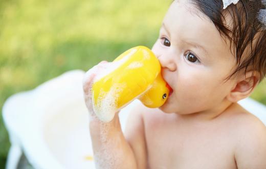 Baby eating a rubber duck 
