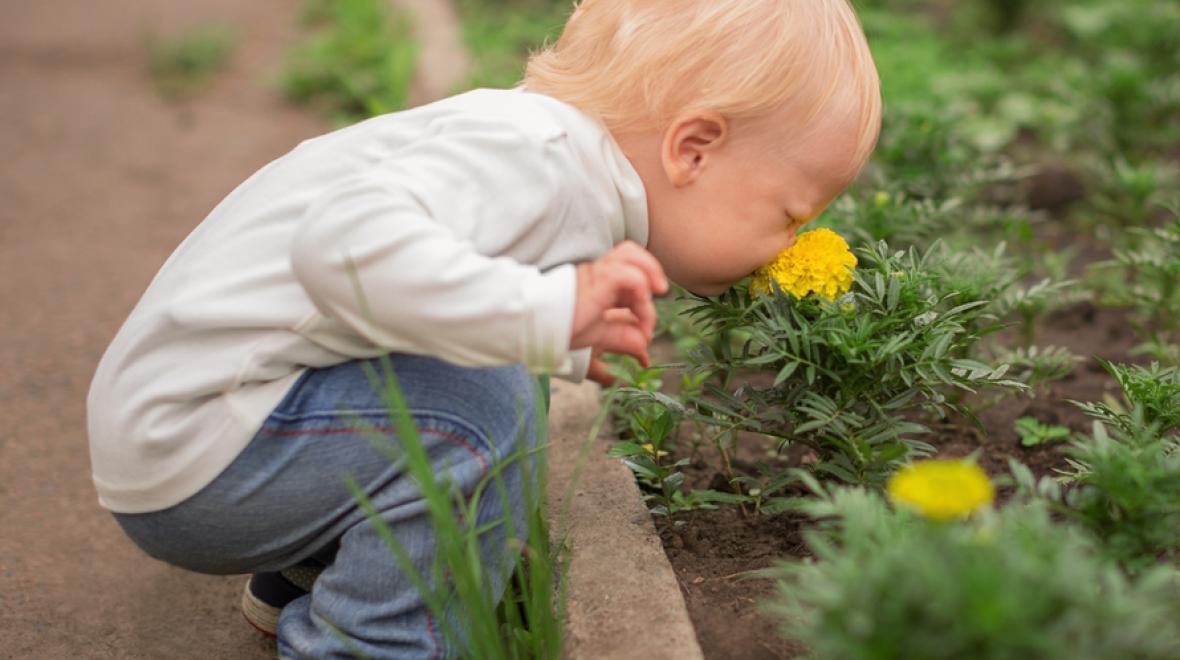 little boy smelling a flower 