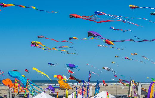 2022 Washington State International Kite Festival: Kites on a blue sky day at the beach