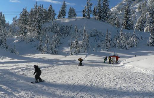 Mt. Baker ski area with kids
