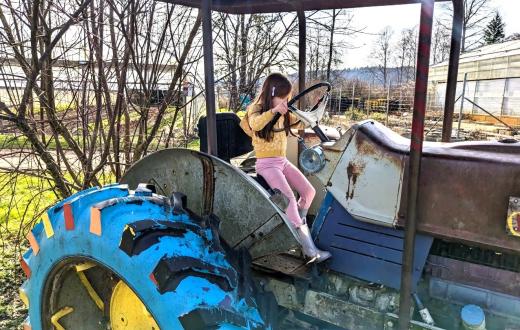 A young girl in a yellow sweatshirt and pink leggings sits in the driver's seat of a farm tractor at Oxbow Farm near Seattle, among sweet Eastside farms to visit with kids