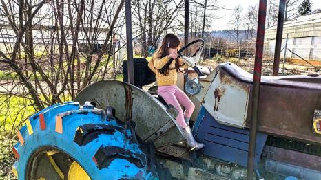A young girl in a yellow sweatshirt and pink leggings sits in the driver's seat of a farm tractor at Oxbow Farm near Seattle, among sweet Eastside farms to visit with kids