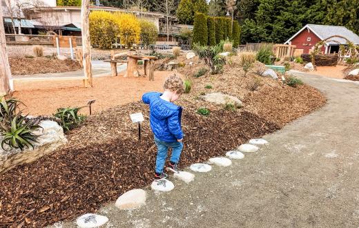 A young boy in a blue jacket balances on stepping stones at Little Explorers Nature Play Garden new play spot inside Tacoma's famous Point Defiance Zoo & Aquarium
