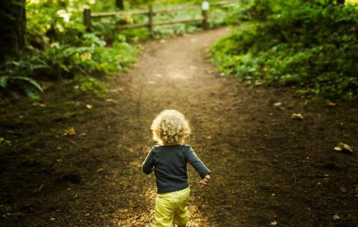Curly haired toddler hiking away from camera with sunshine filtering through trees best hikes for little kids seattle bellevue eastside