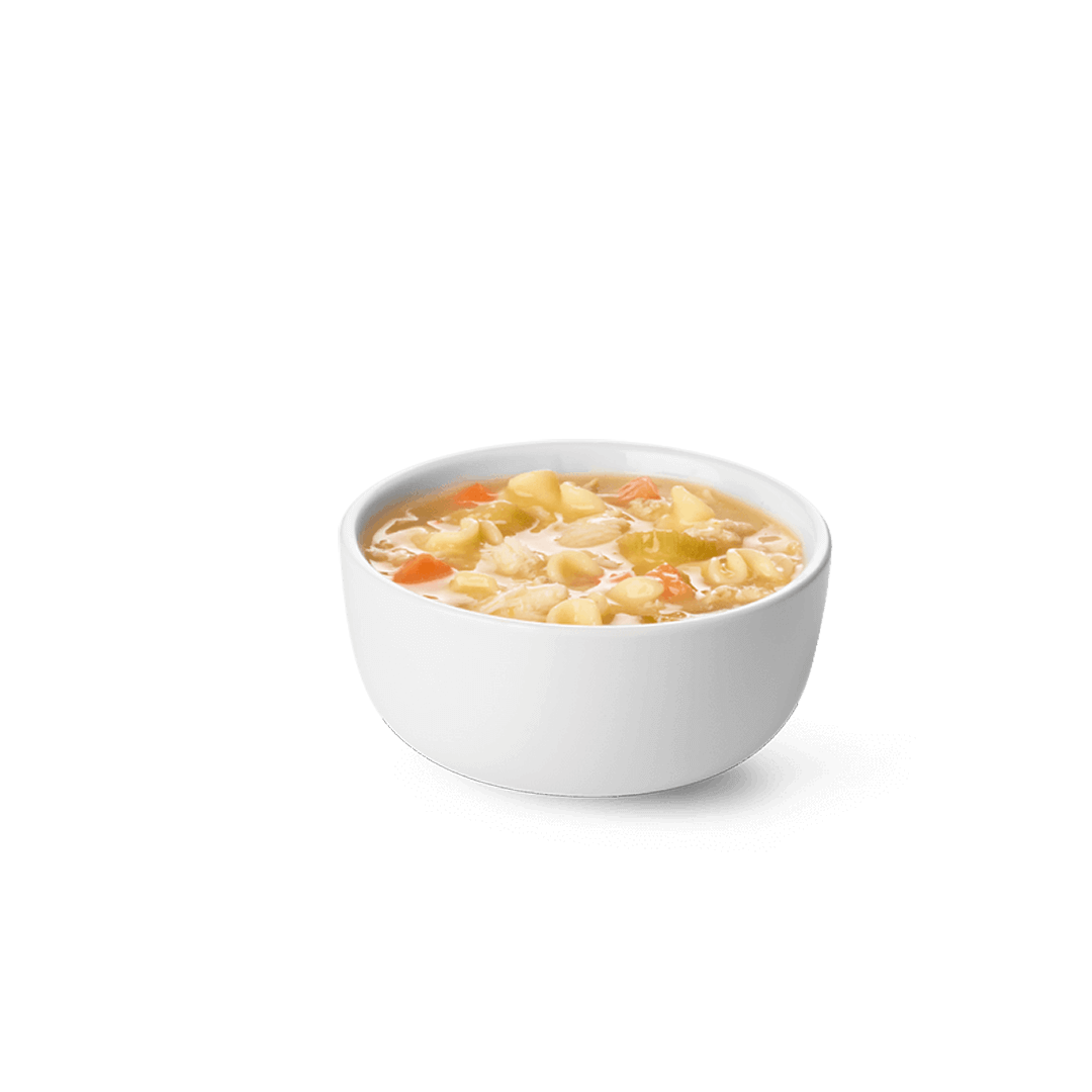 Cup of Chicken Noodle Soup